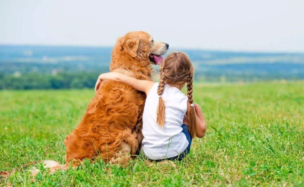 狗狗喜欢吃墙灰怎么回事,你家狗狗总喜欢咬你的手指