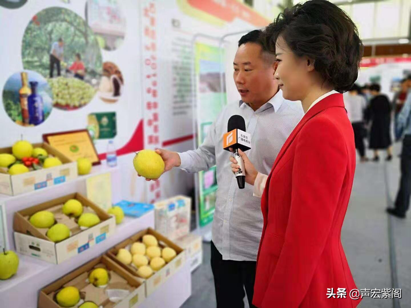 红楼梦给秦可卿开的药方的含义,红楼梦薛宝钗劝贾宝玉饮热酒