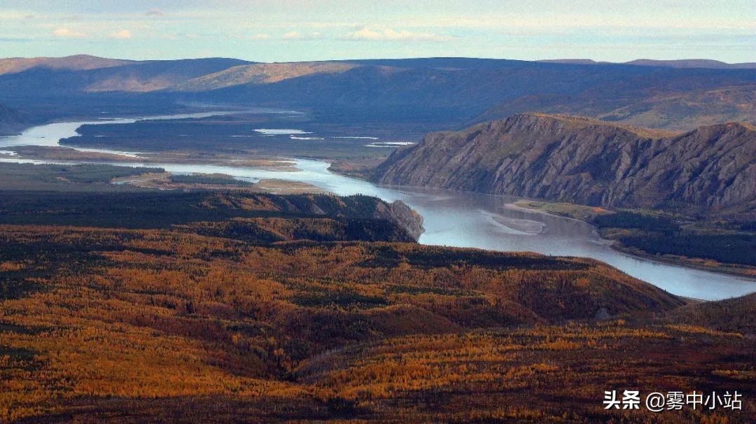最便宜阿拉斯加多少钱,最便宜又大的阿拉斯加