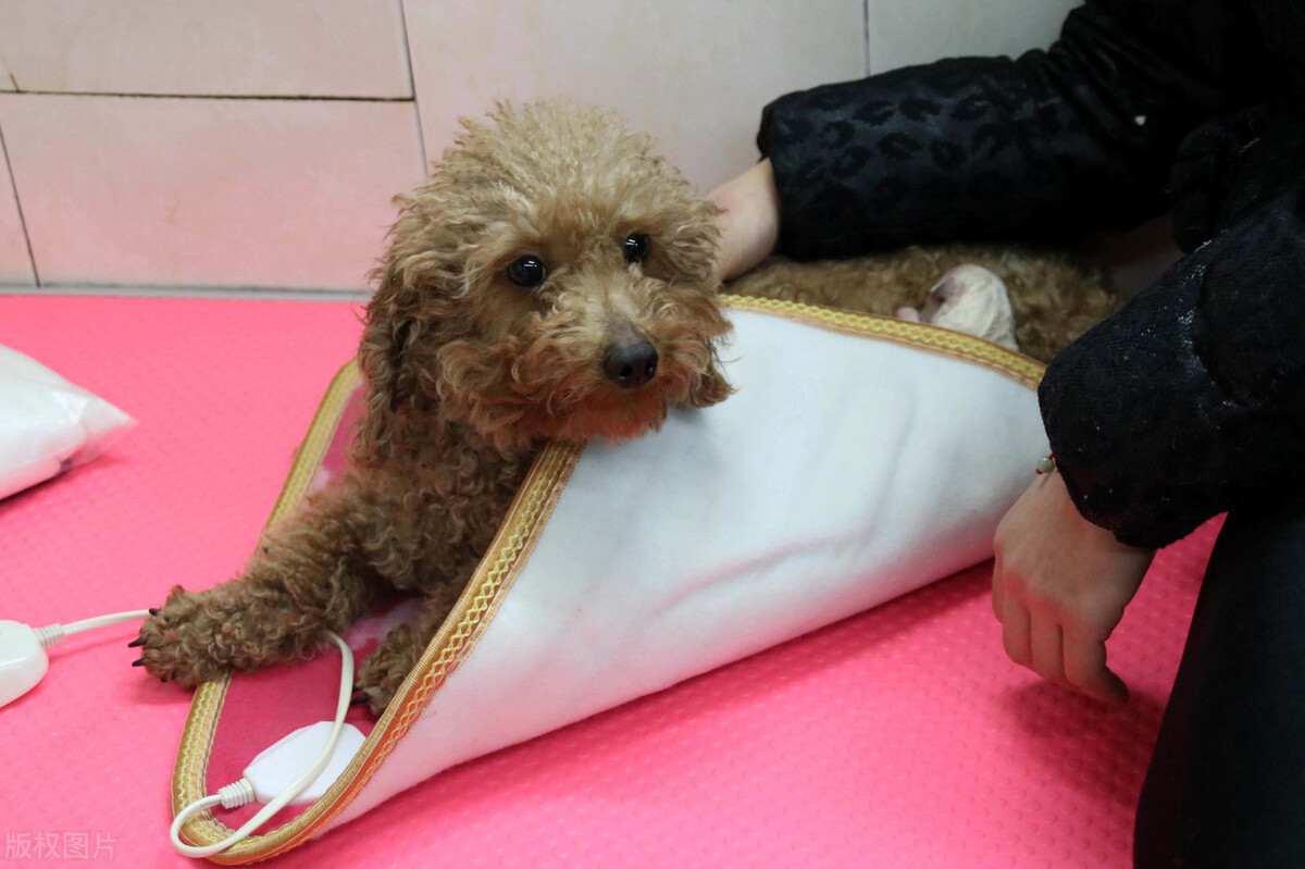 壹健康的产品好吗,壹健康健康产品可靠吗