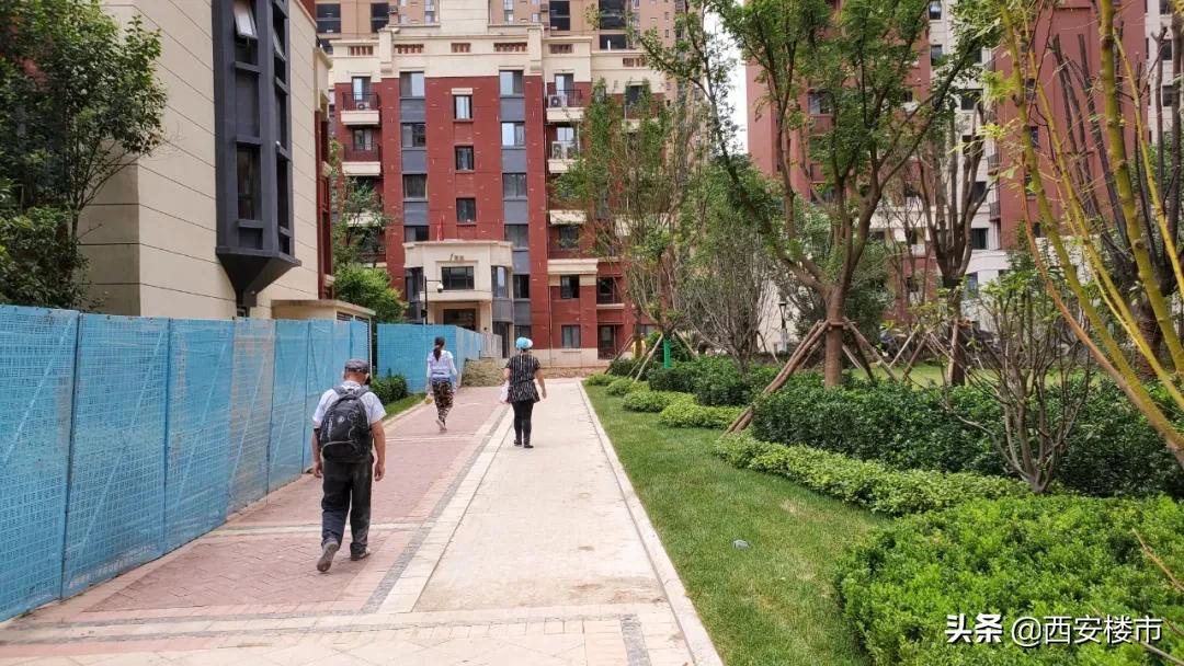 南湖艺境一期小区环境图片,南湖艺境一期详细地址