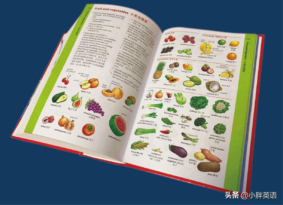 英语词汇量不够怎么办,如何背词典增加词汇量