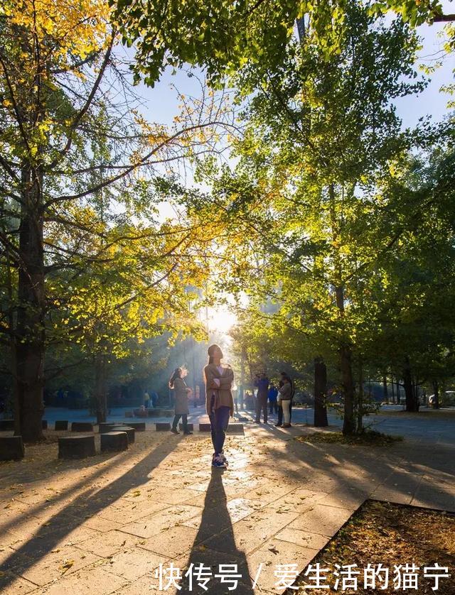 腾冲从早到晚旅游攻略,腾冲7月旅游攻略
