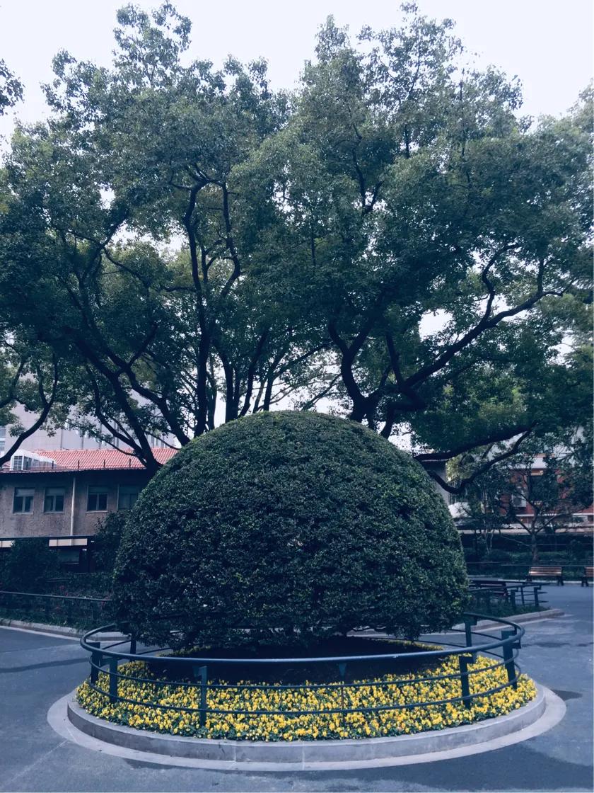 上海西康公园下象棋,上海西康公园地址