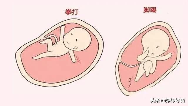 胎动，孕妈的欣喜时刻-揭秘胎动，孕妈们不得不知的一些小知识。