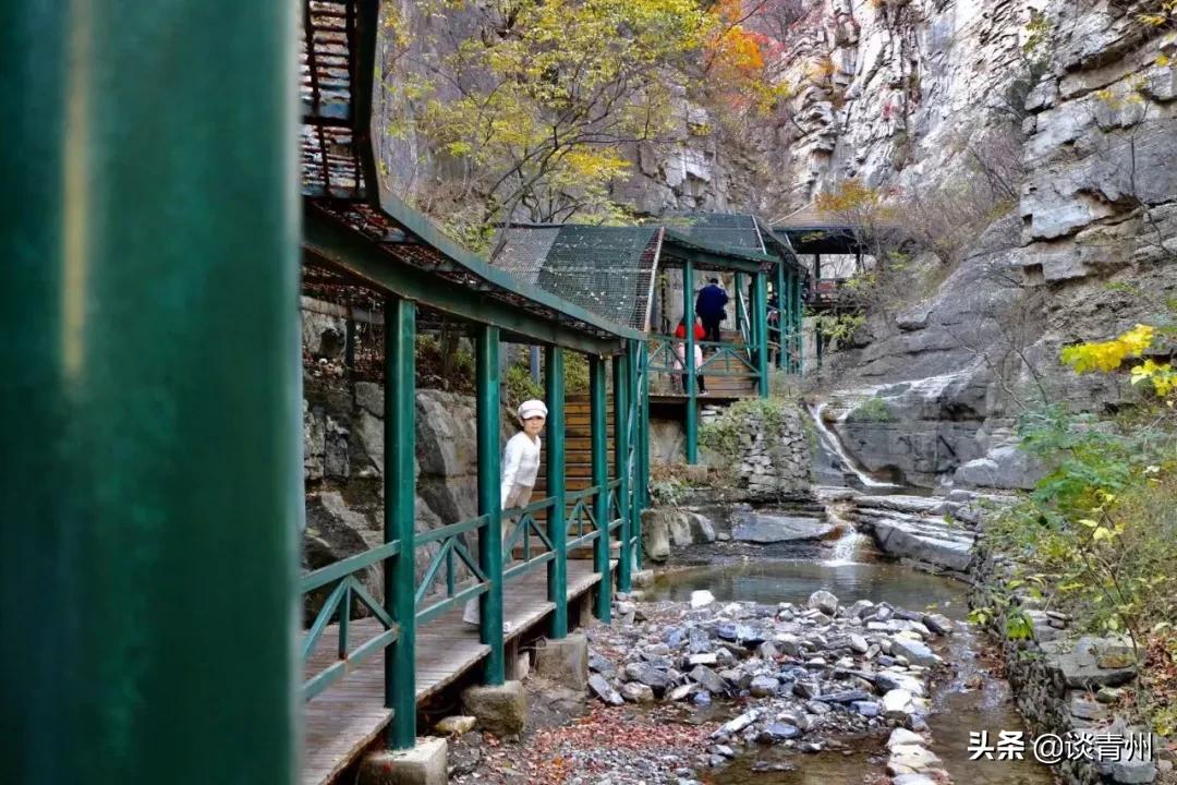 青州蜜三刀在哪,青州一个人去什么地方玩