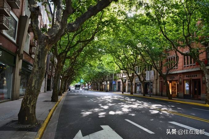 我从思南公馆漫步1公里，转角遇见TA