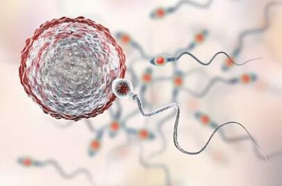 试管婴儿移植后剩余的胚胎怎么办,试管婴儿移植成功后会一直腹胀吗