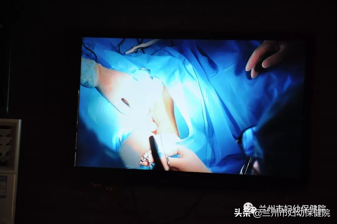 2019年兰州医学会妇产科专业委员会年会在兰召开