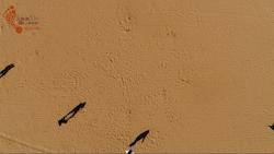 冬天100人团建最火的十个项目,100多人团建最火的十个项目