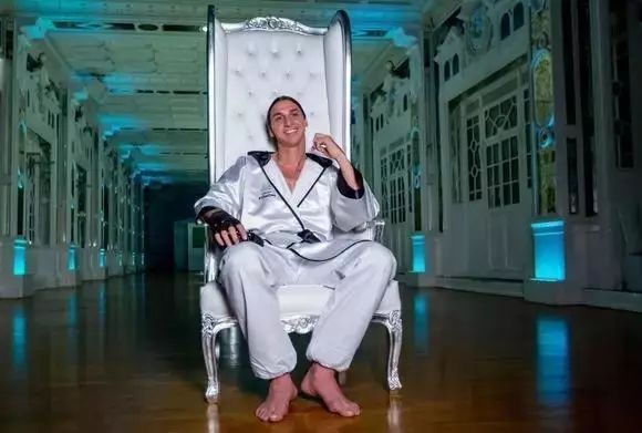 伊布晒图回应,伊布恶搞图片