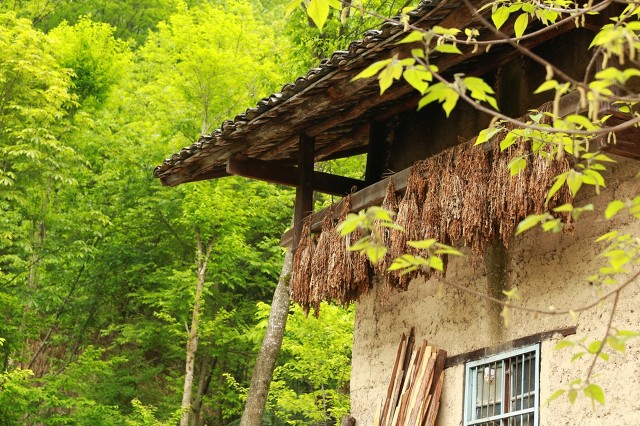 孩子没钱读书怎么办,不会读书的孩子应该怎么办