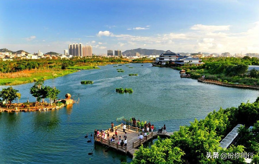 一个充满生活情调的鹭岛城市厦门,鹭岛的小清新带给你什么感受