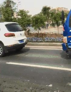 在野外发现甘蔗,在山里发现甘蔗