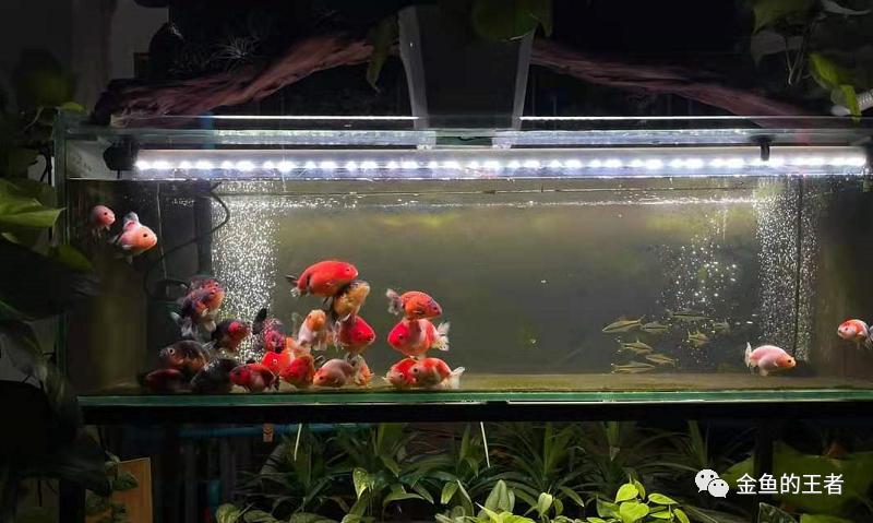 10个小技巧，简单粗暴，让过滤效率翻倍