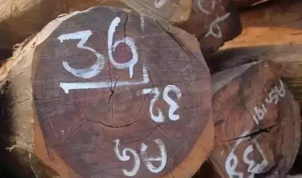 微凹黄檀是白酸枝还是红酸枝,红酸枝微凹黄檀是什么木头