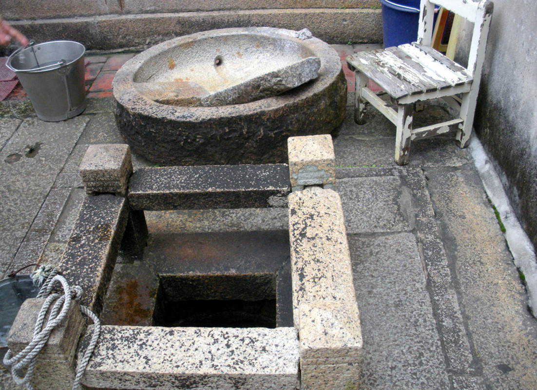 皂荚树现在还有吗,皂荚树经历辉煌又被嫌弃