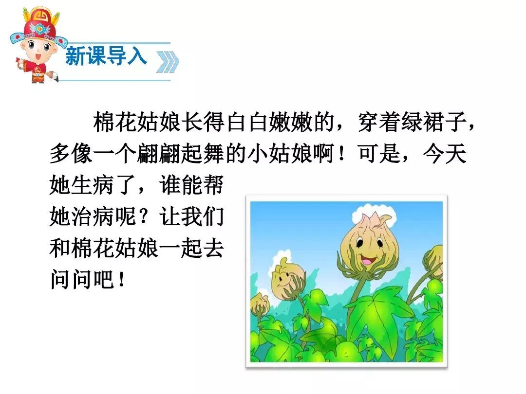 一年级下册语文19课棉花姑娘,一年级棉花姑娘课文笔记