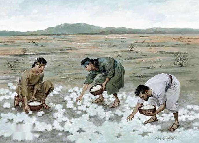 暗黑血统3到底有多变态,暗黑3血统3解说