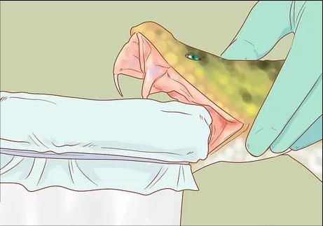 世界最危险的6份工作,世界上最危险的工作一千几百万