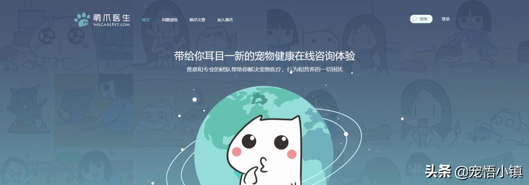 比较出名的宠物网站排名大全,国内外知名宠物品牌排行表