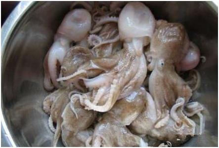 看图识海鲜，这些水产海鲜你都认识吗？