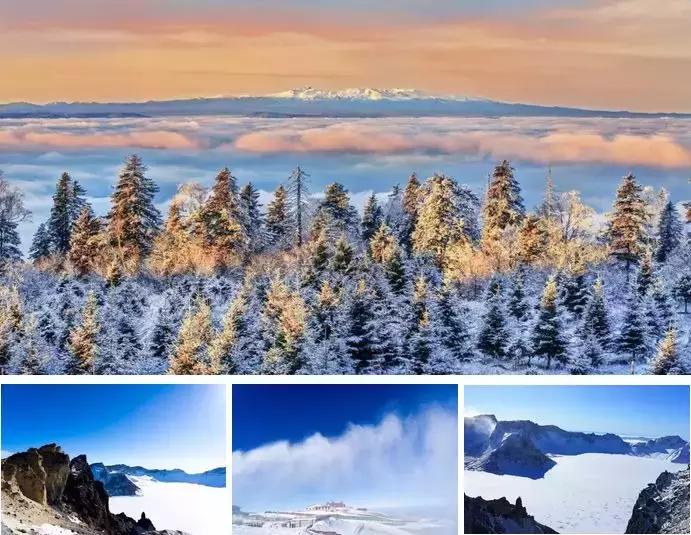 去长白山滑雪,去长白山还是去哈尔滨好