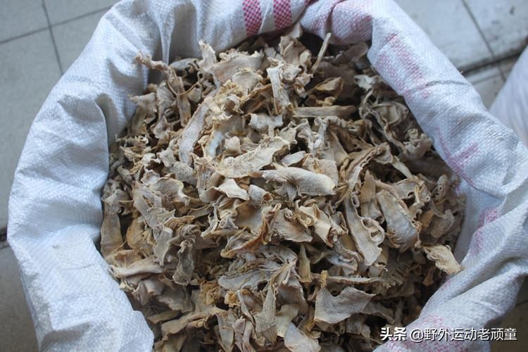 野生小竹笋笋干制作全过程,新鲜毛笋怎么做毛笋干