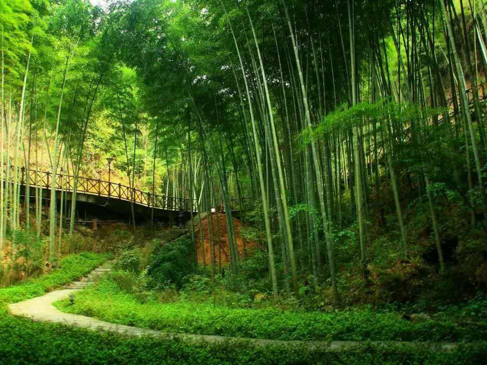 南阳市云露山风景区简介,南阳七十二潭风景