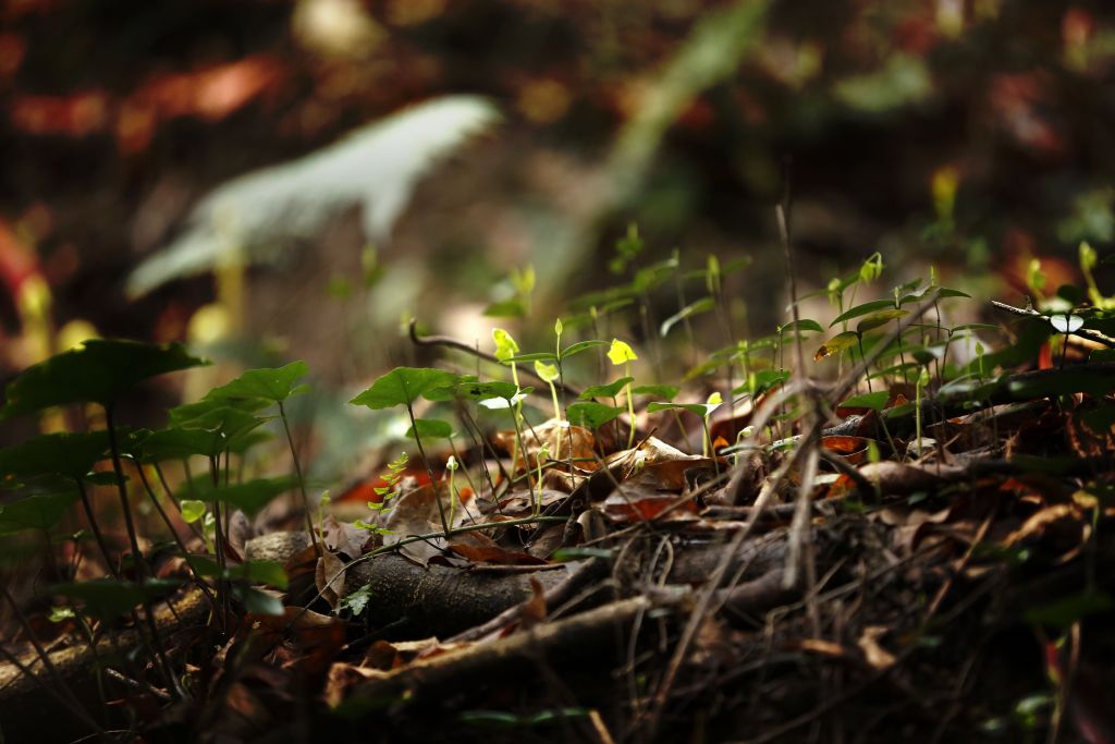 於潜景区,於潜镇有什么旅游景点
