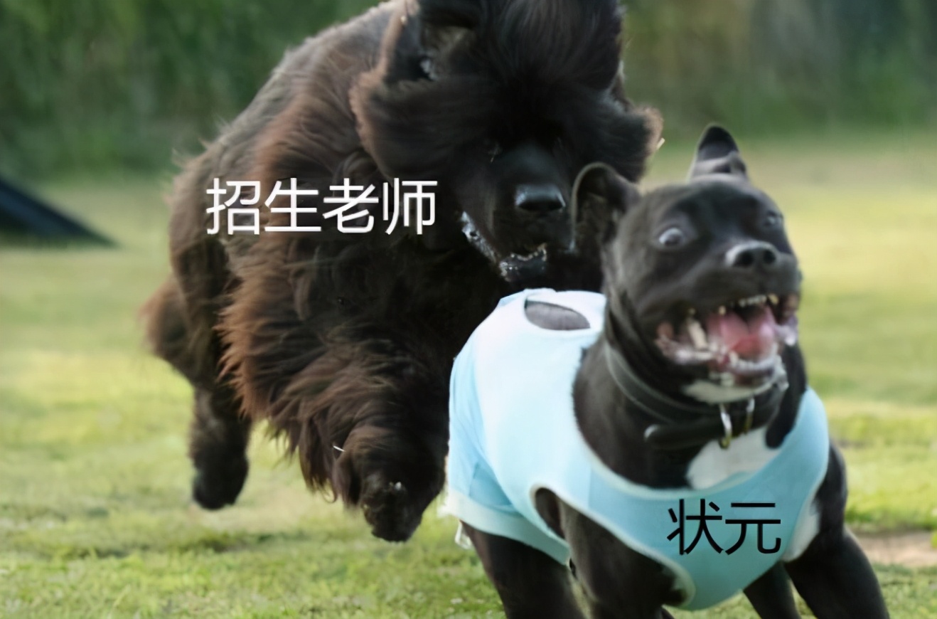 为什么清华北大也有招生老师,北大清华招生老师抢人大战