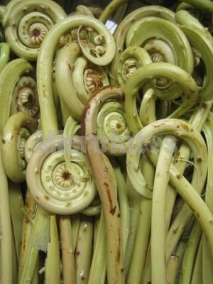 广西80后农村童年经典回忆,80后的童年回忆广西的农村生活