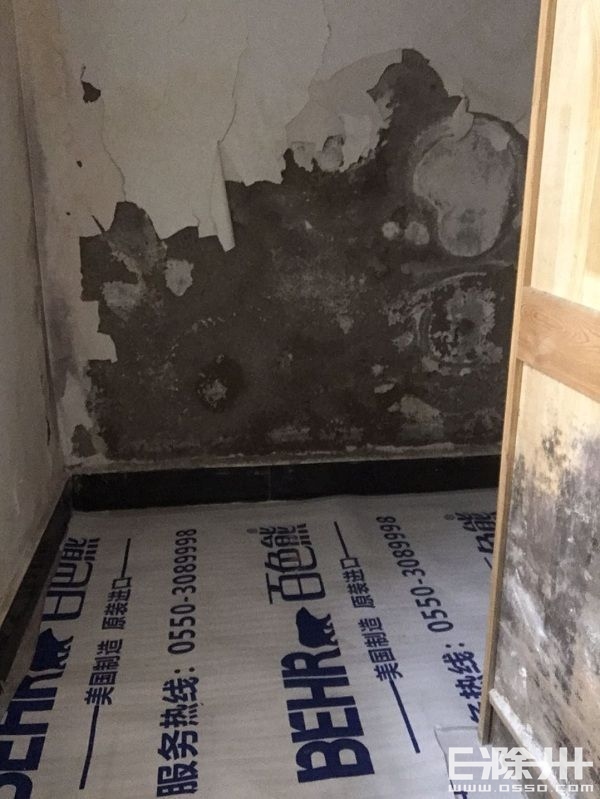墙纸发霉撕下后墙壁有霉斑,气候潮湿墙纸发霉严重怎么办