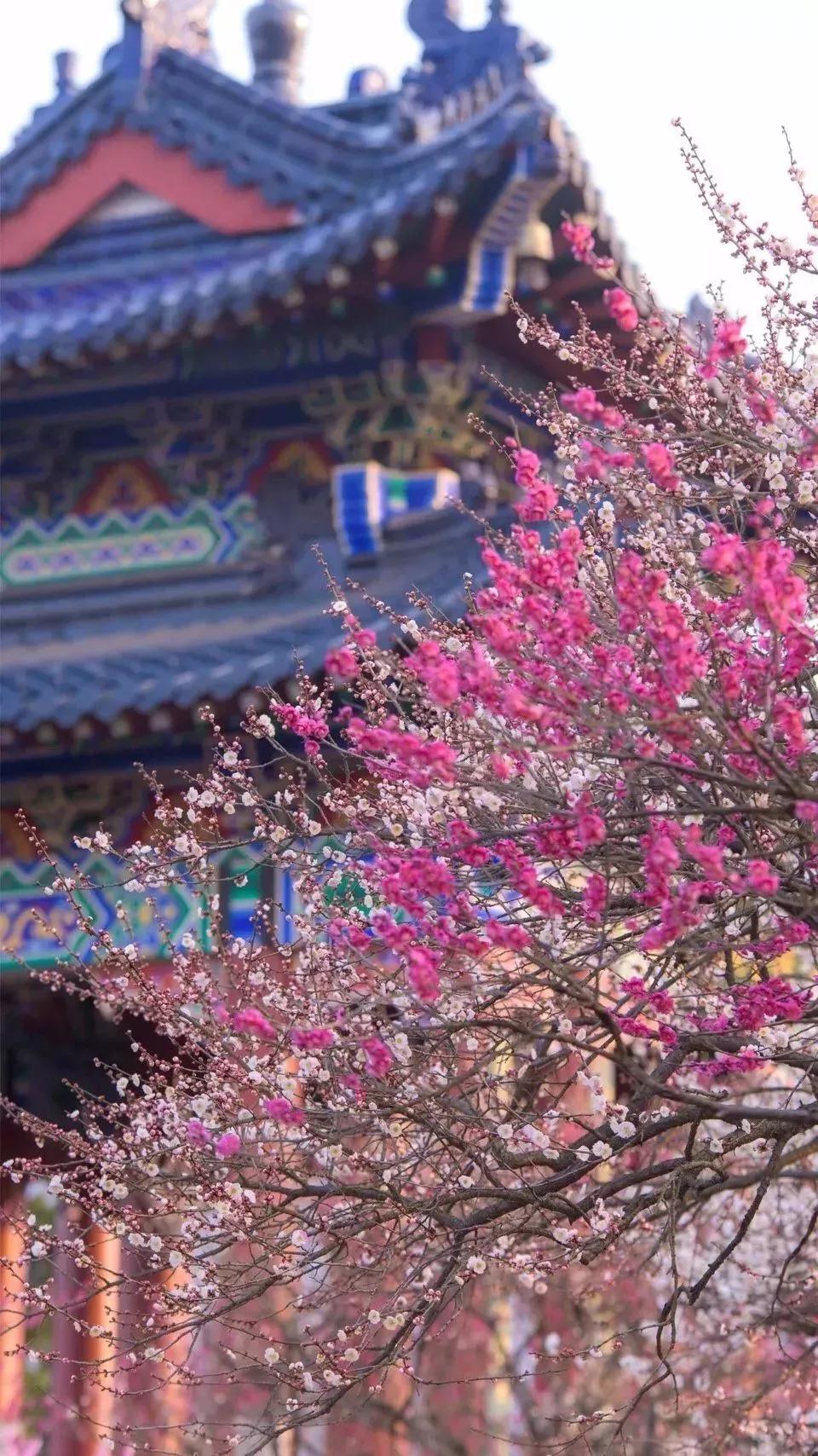 南京天空之镜高清图,中国五大惊艳世界的城市