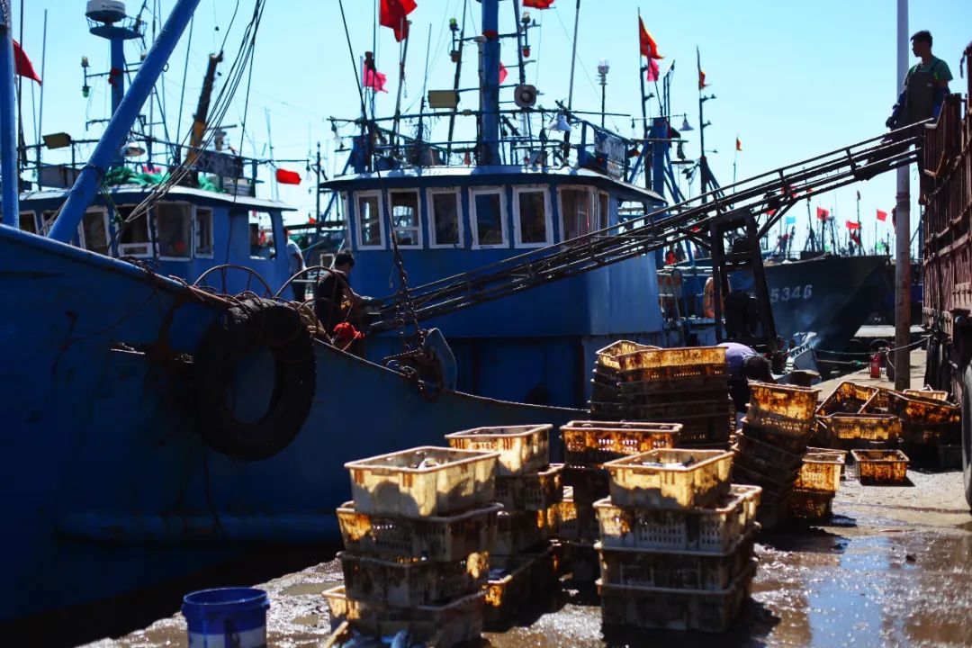 国内夏天最凉快的5个地方,8月最凉快的旅游城市