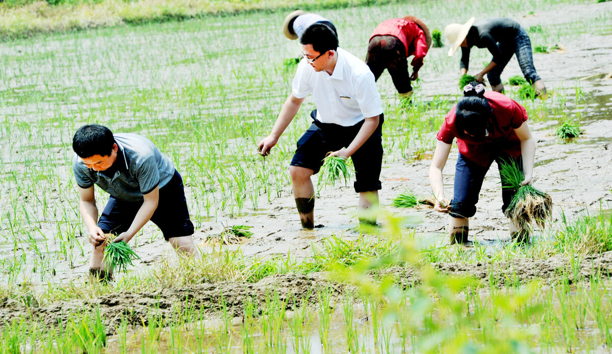 现代社会有旱灾吗,现代会出现旱灾吗