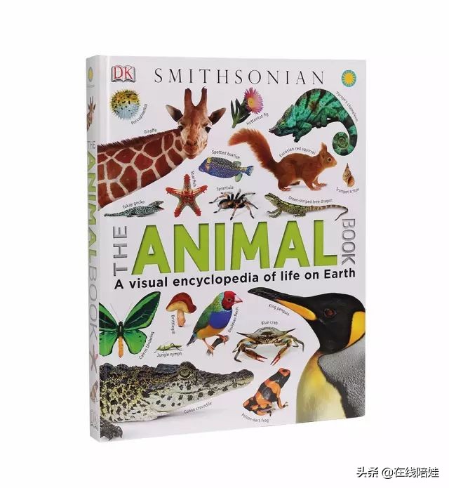 dk知识大百科全套,dk知识大百科书金银版