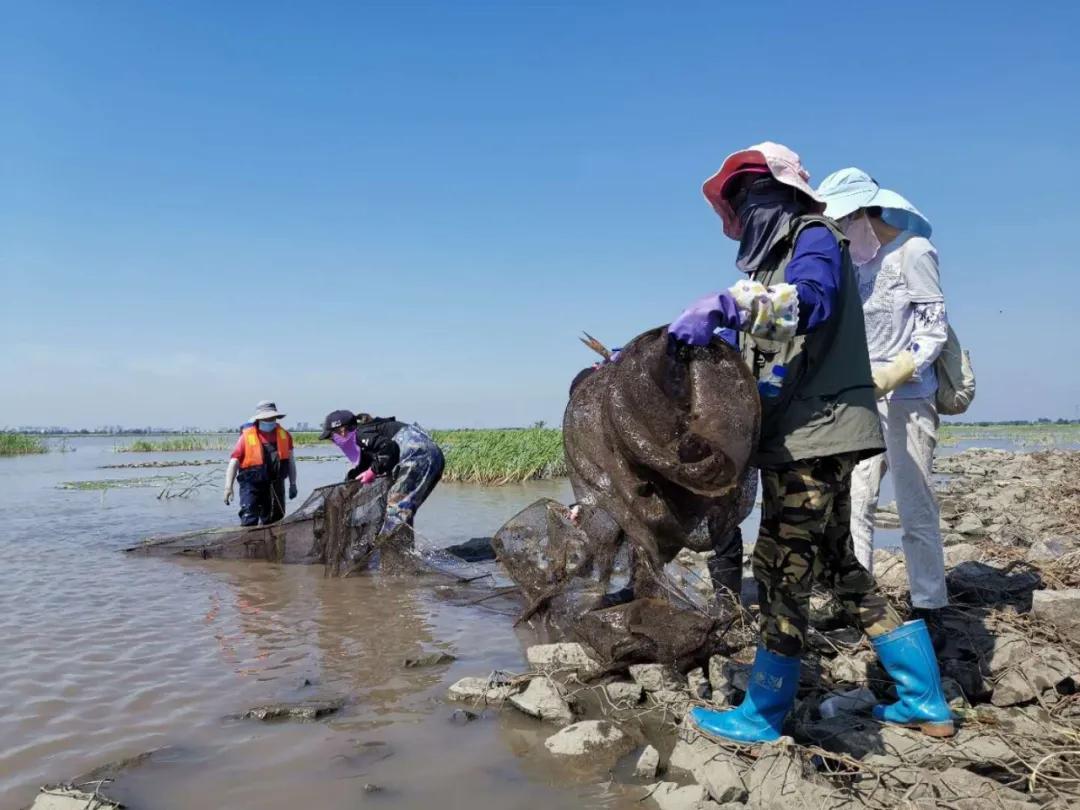 盘点那些离谱的放生行为,私自放生合法吗