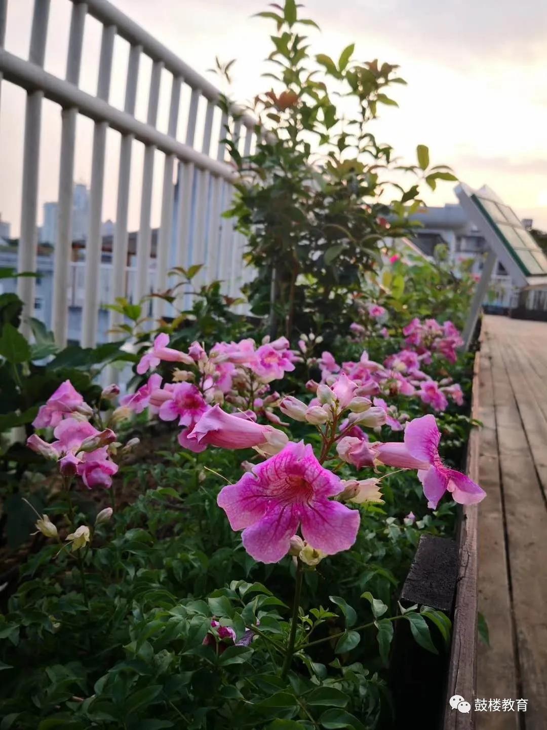 鏂囨槑鏍″洯椋庨噰灞曠ず娲诲姩,鏂囨槑鏍″洯椋庨噰灞曠ず