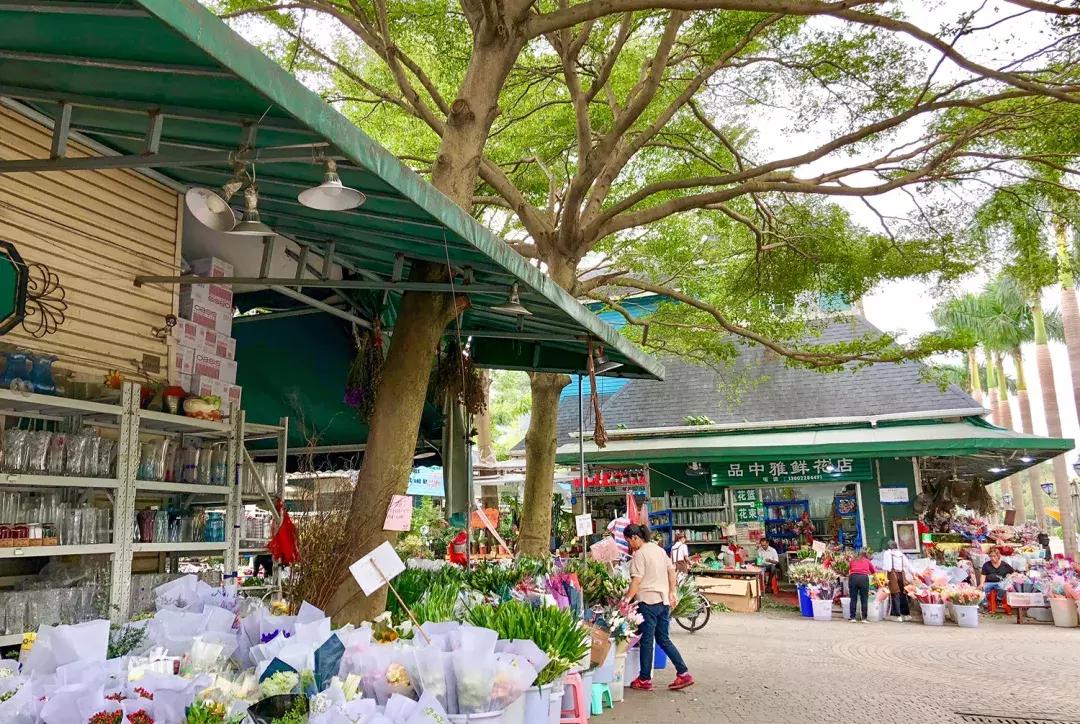 走进南头,这里是中山