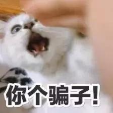 上了大学就自由了？这才是真实的大学生活......