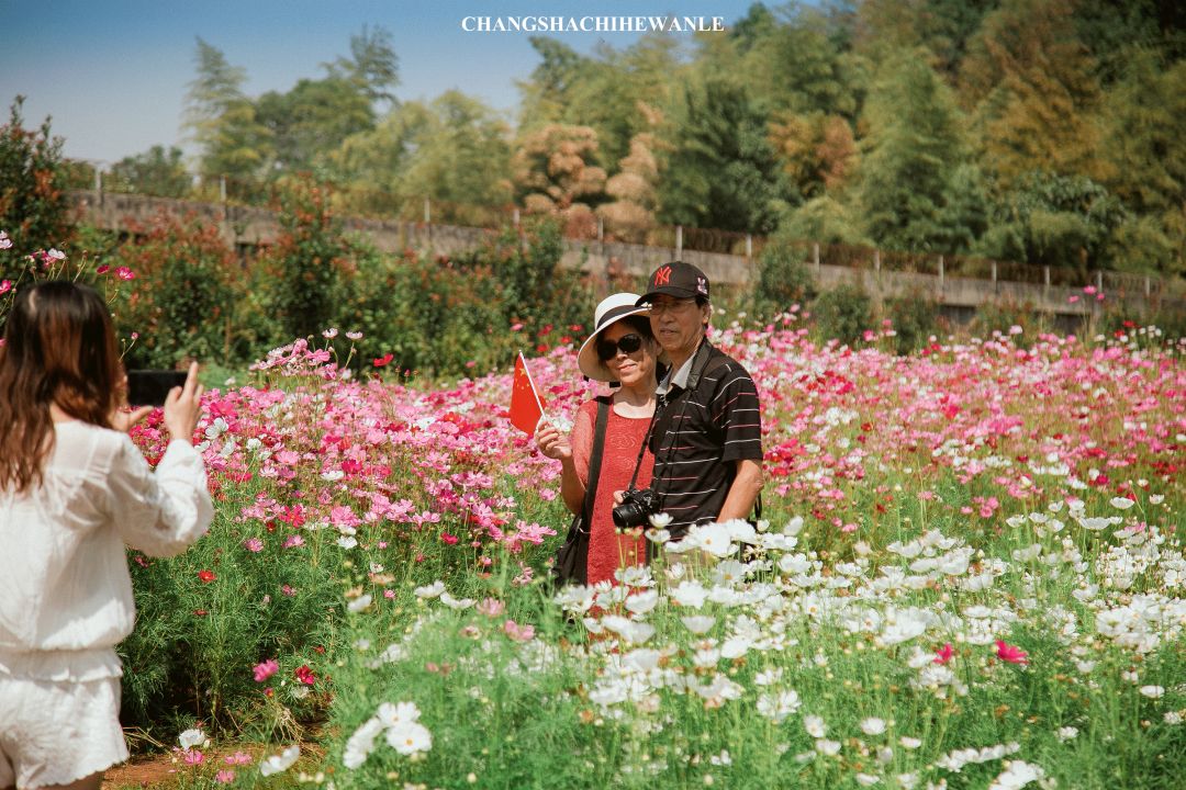 秋天的沙湖美不胜收,洋沙湖旅游