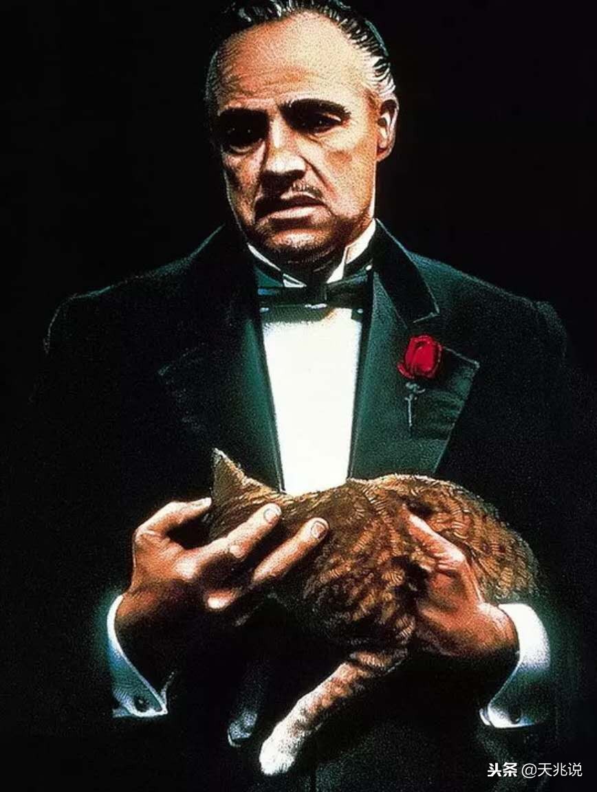 帝国杂志年度电影十佳,帝国杂志评选影响人类的100大电影