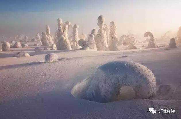 假如地球没有了植物会怎样,假如地球没有生命体会怎样