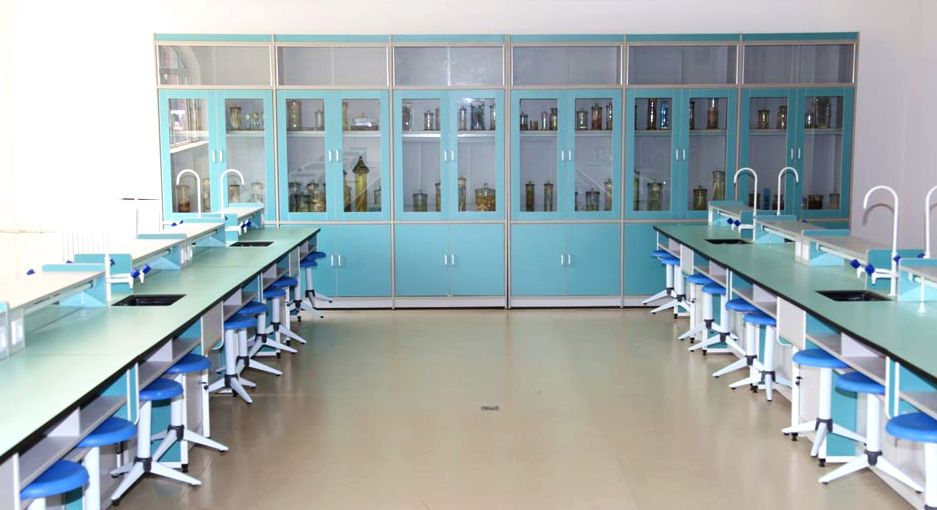 三中高中部创新班,三年级学生思维能力提升