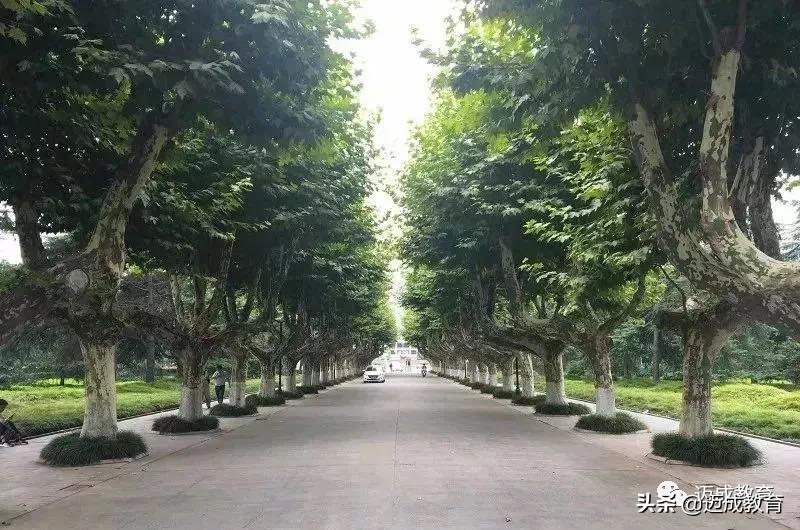 专转本院校介绍之|扬州大学