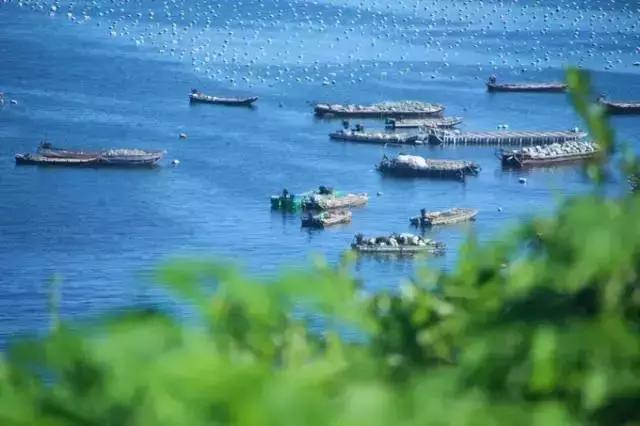 福建小垦丁镇海角图片,镇海角小垦丁视频素材