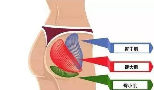 女生没屁股怎么锻炼臀部,女生怎么练翘臀不去健身房