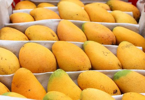 芒果有黑点还可以吃么,芒果有黑点了还能不能吃