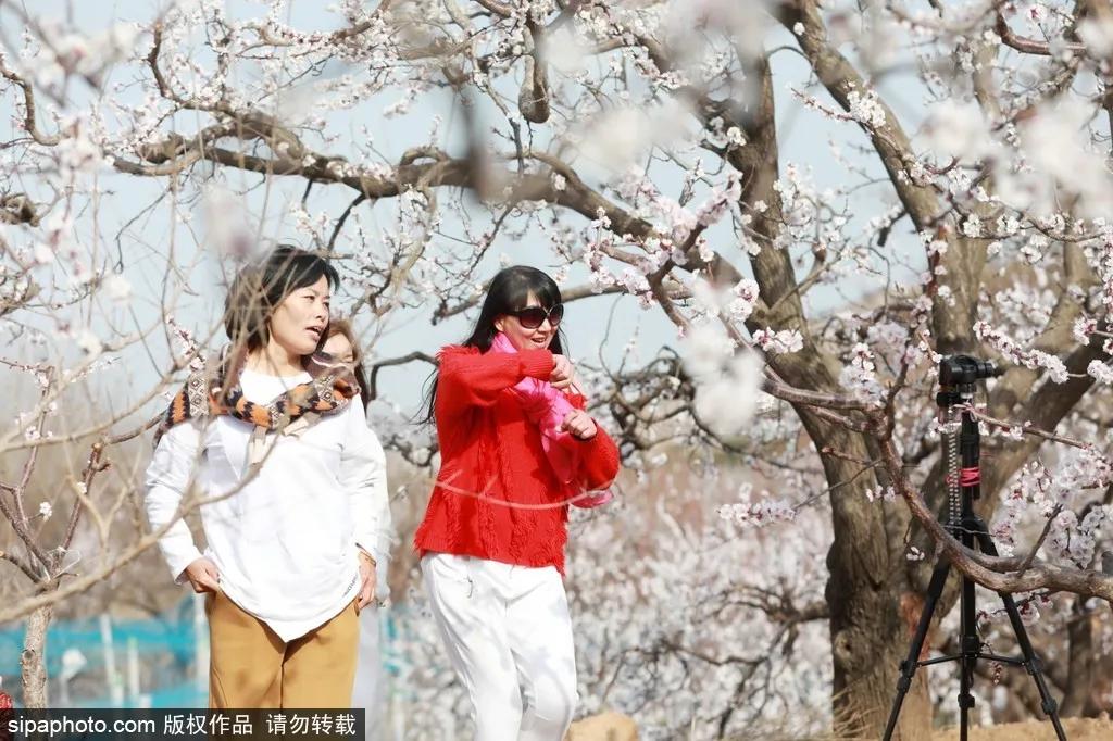 藏不住了!北京这些地方即将美出天际,你居然不知道?